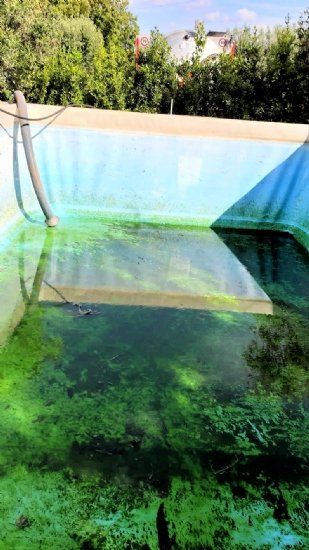 Piscina con acqua sporca