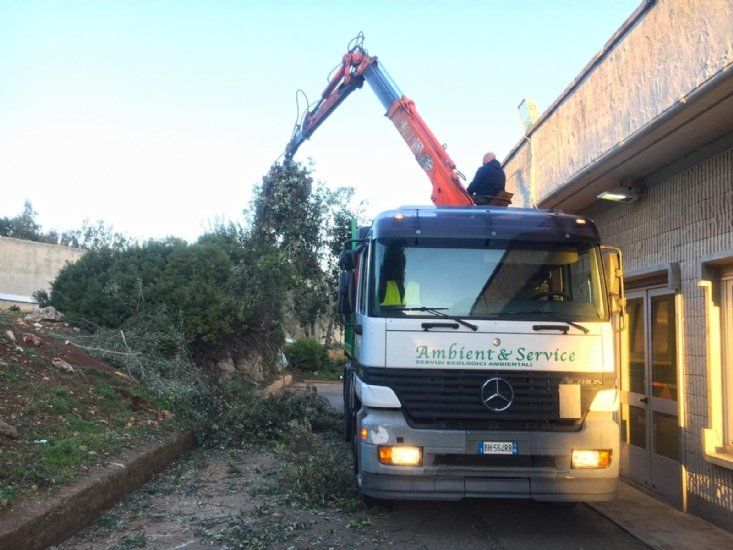 Manutenzione verde pubblico