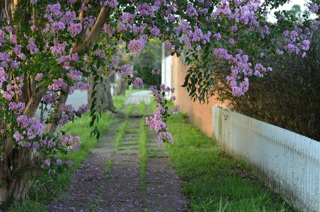 5 Tips To Repair Your Winter Damaged Yard