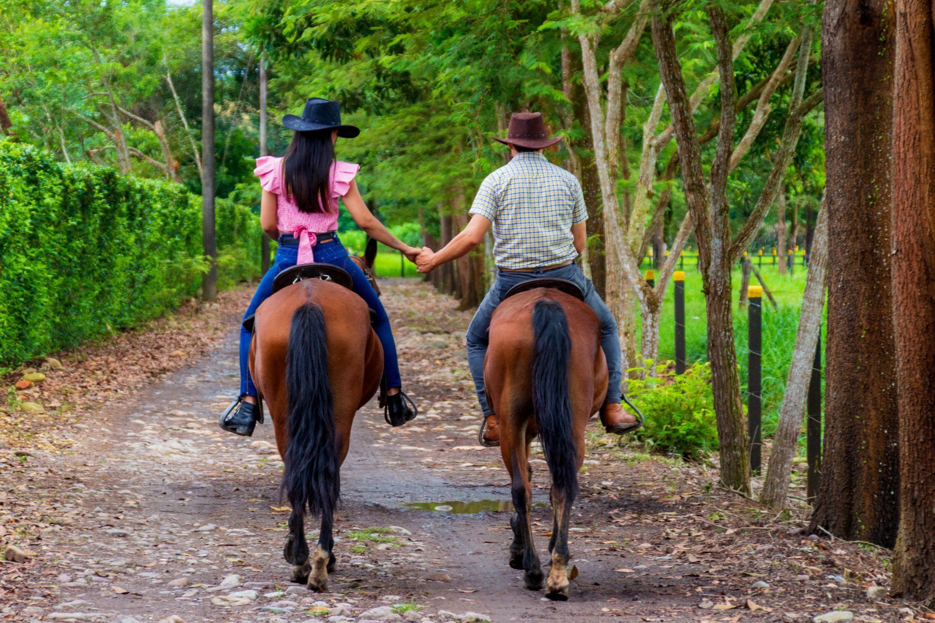 cabalgata la potra hotel campestre