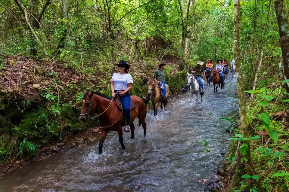 Turistas recorriendo senderos naturales en cabalgata en Villavicencio, un plan campestre para disfrutar en diciembre.