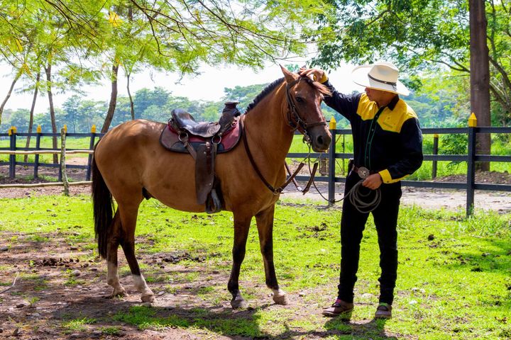 experiencias hotel campestre la potra