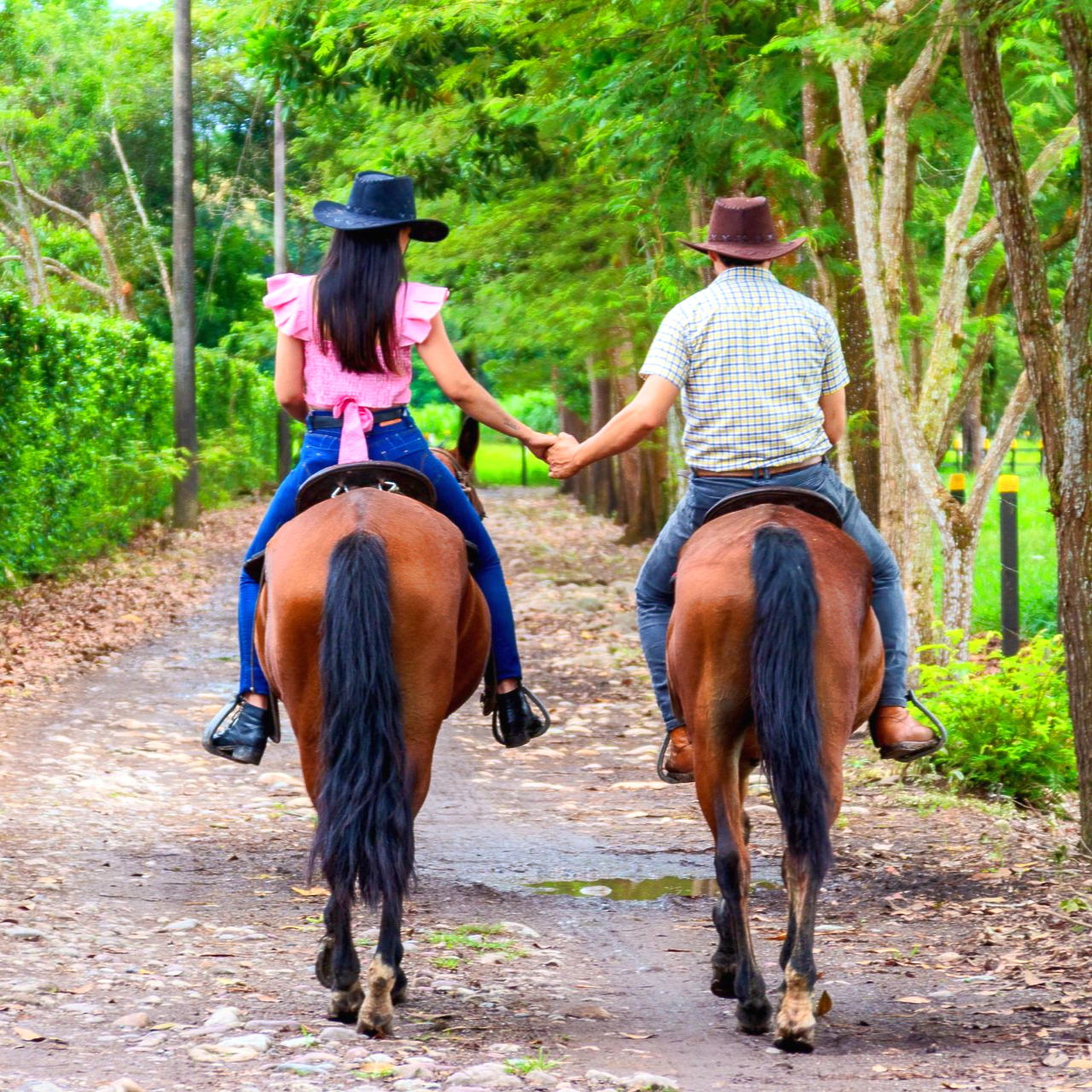 pasadia campestre experiencia la potra