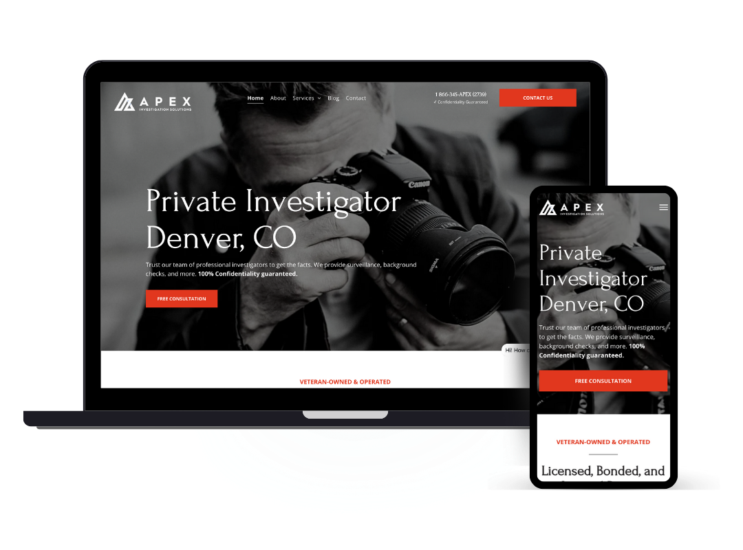 affordable custom web design - private detective