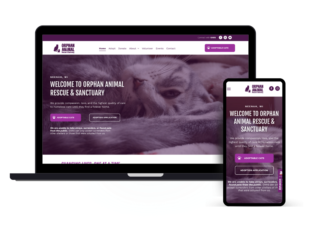 affordable custom web design - non profit cat rescue