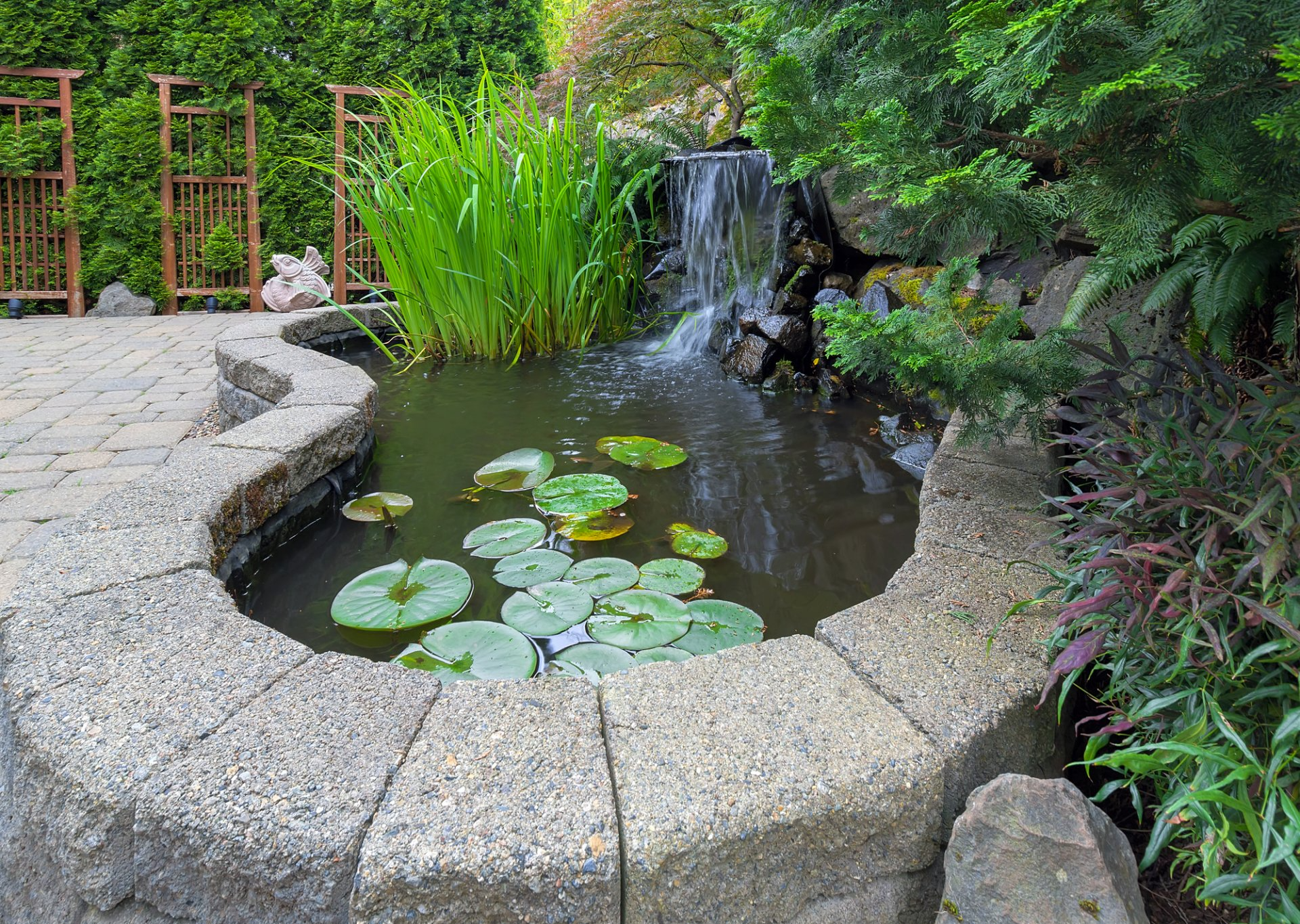 Pond and a waterfall in a garden in Reno, Northern Nevada