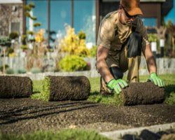 Sod being installed in Carson City home