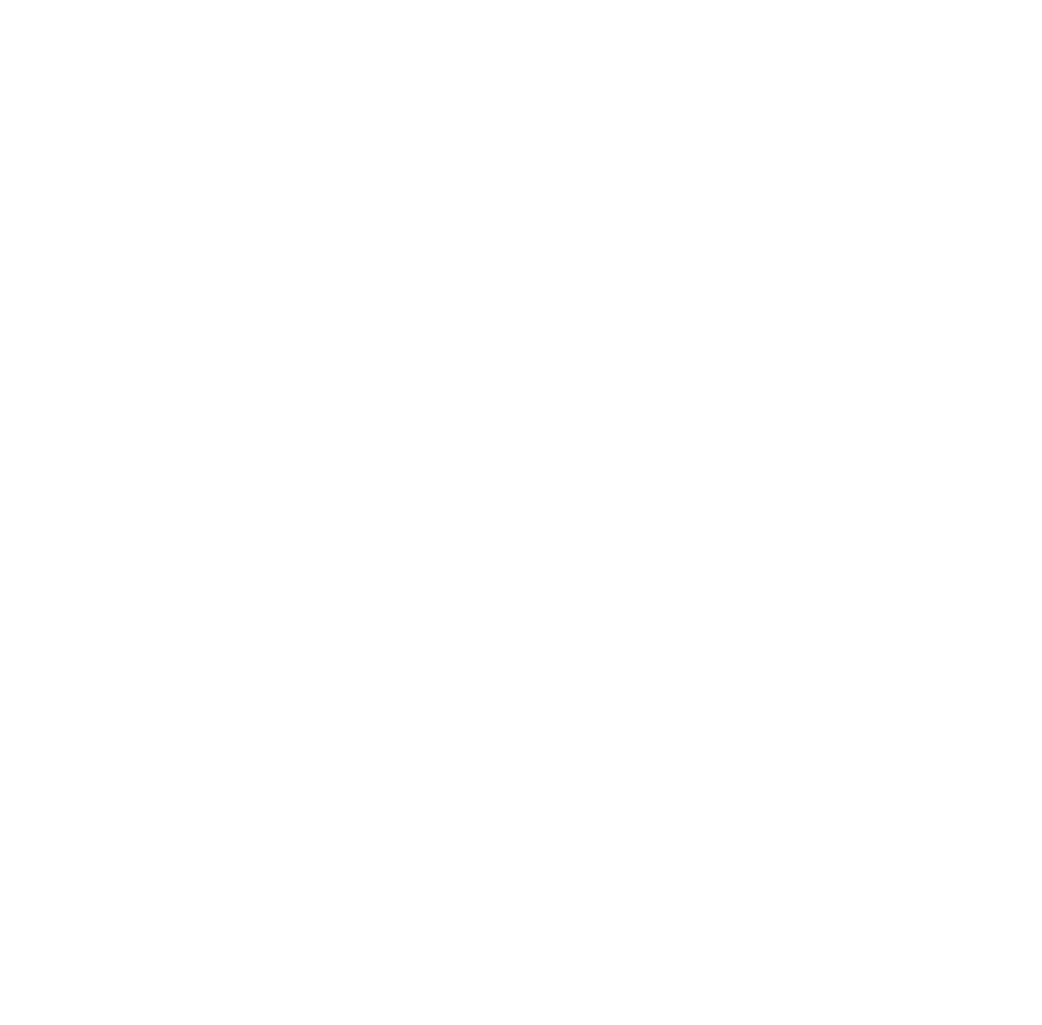 logo napulè pizzeria