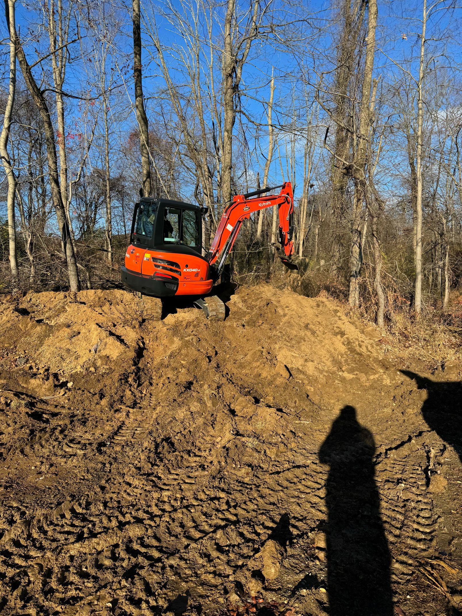 A bulldozer is digging a hole in the dirt in the woods.