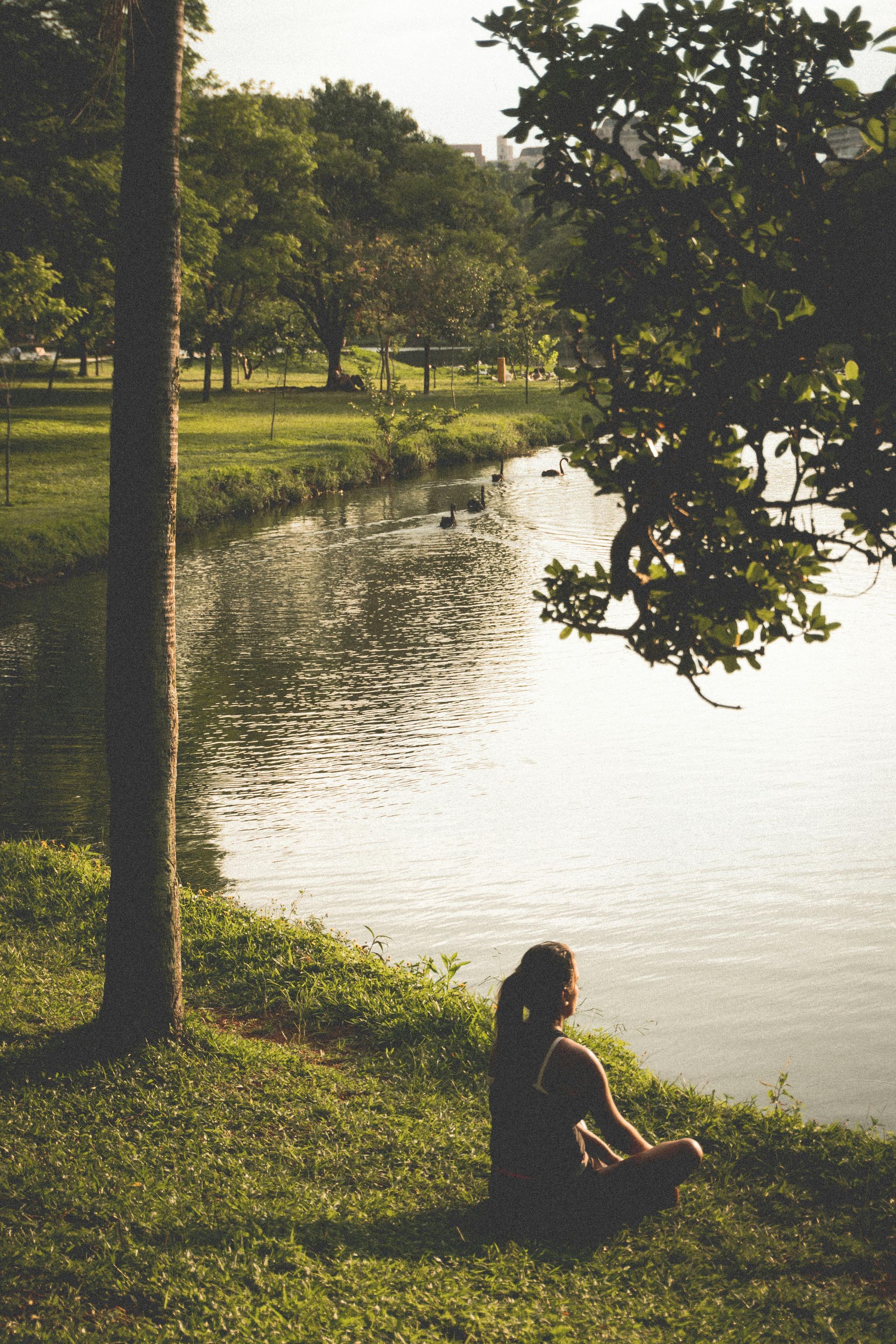 A woman sits on the grass near a body of water