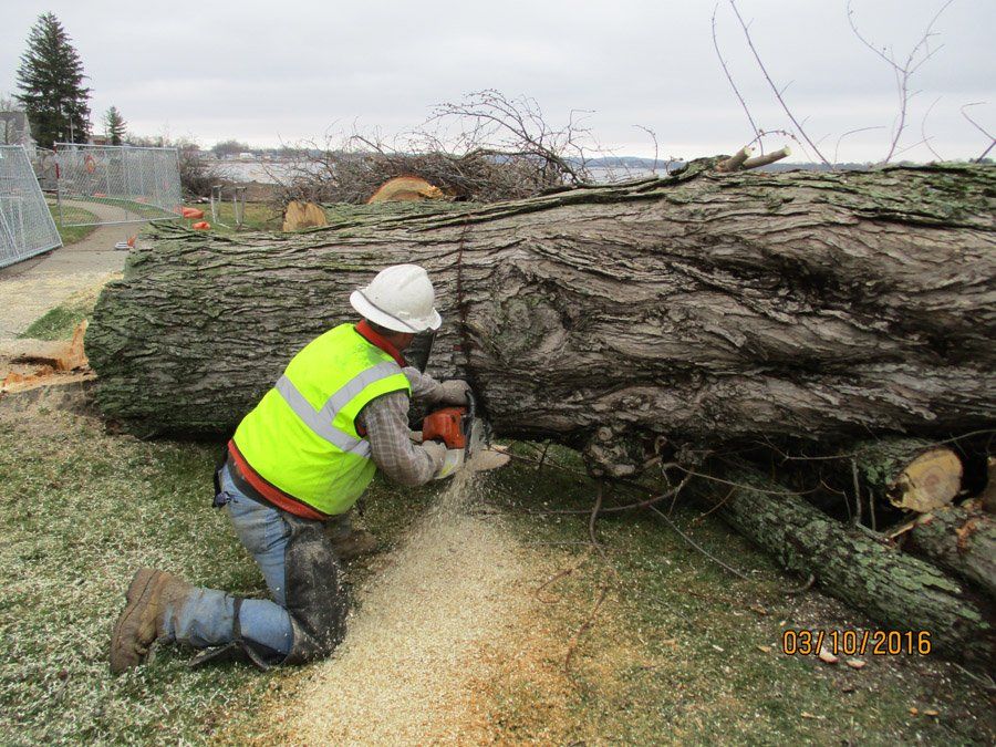 National Tree Care LLC Tree Service Millersport, OH