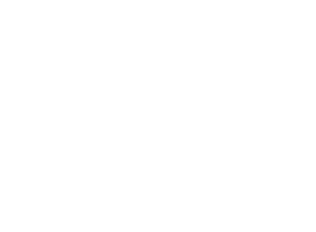 Colorline Carpet Warehouse logo
