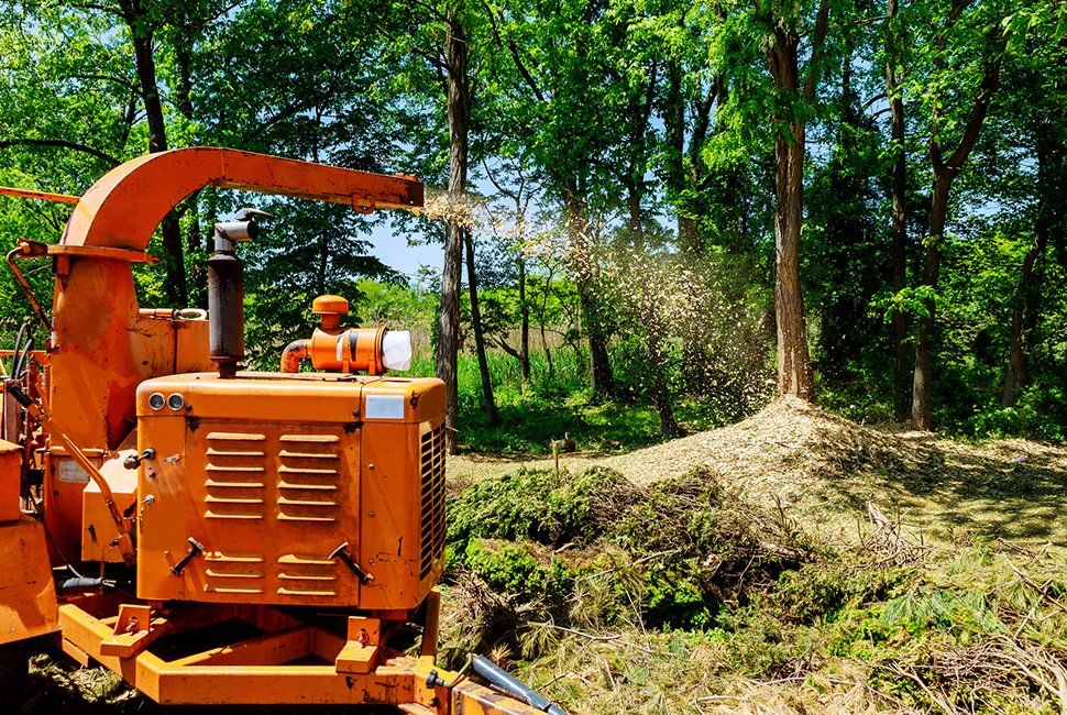 Wood Chipper Blowing Wood Chips Of Tree Branches — Huntingtown, MD — Spence's Tree Service