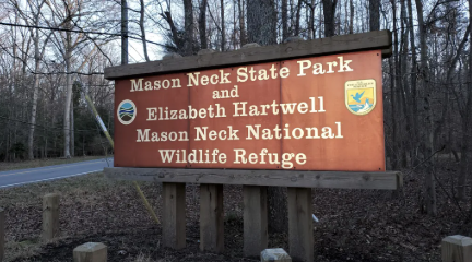 A wooden sign for Mason Neck State Park and Elizabeth Hartwell Mason Neck National Wildlife Refuge, set against trees. A wooden sign for Mason Neck State Park and Elizabeth Hartwell Mason Neck National Wildlife Refuge, set against trees.