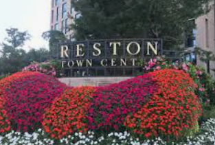 A sign reading RESTON TOWN CENT surrounded by vibrant red, orange, and purple flower beds. A sign reading RESTON TOWN CENT surrounded by vibrant red, orange, and purple flower beds.