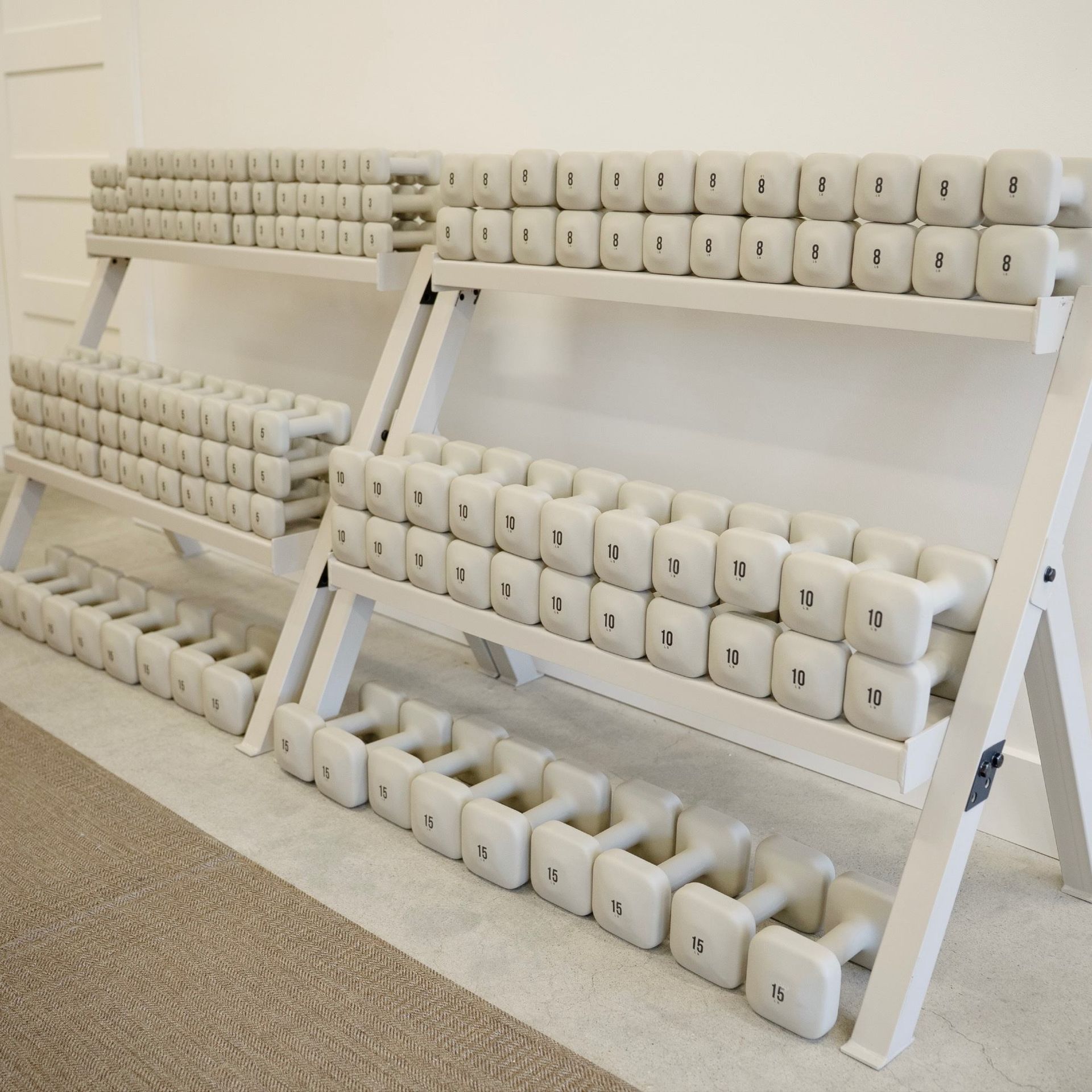 A row of dumbbells are lined up on a rack