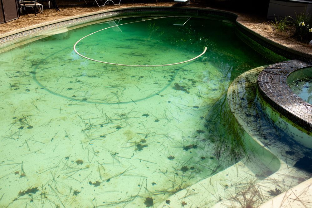 How To Clean Algae From Your Pool