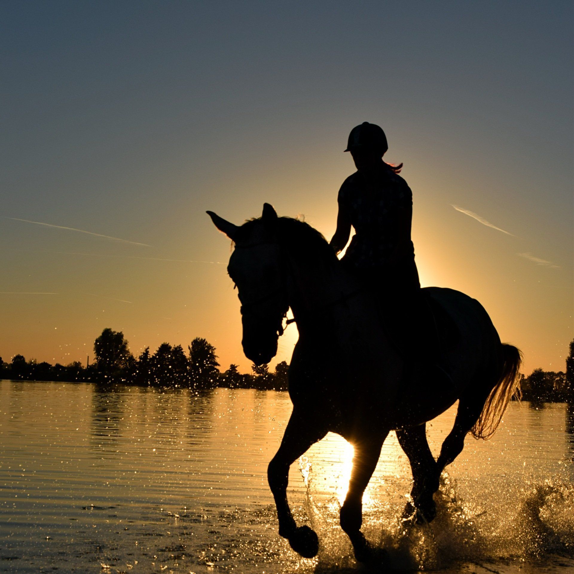 A person riding a horse in the water at sunset