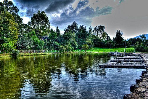 Fitoplants Natural S.A.S.