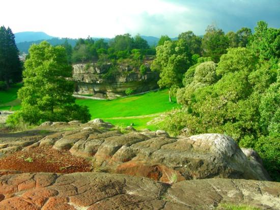 Fitoplants Natural S.A.S.