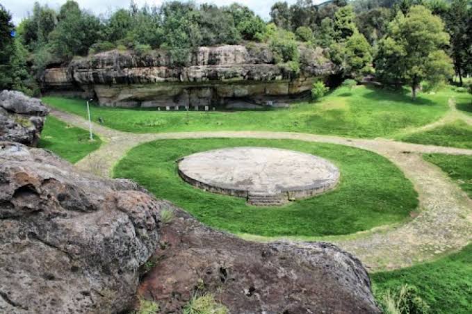 Fitoplants Natural S.A.S.