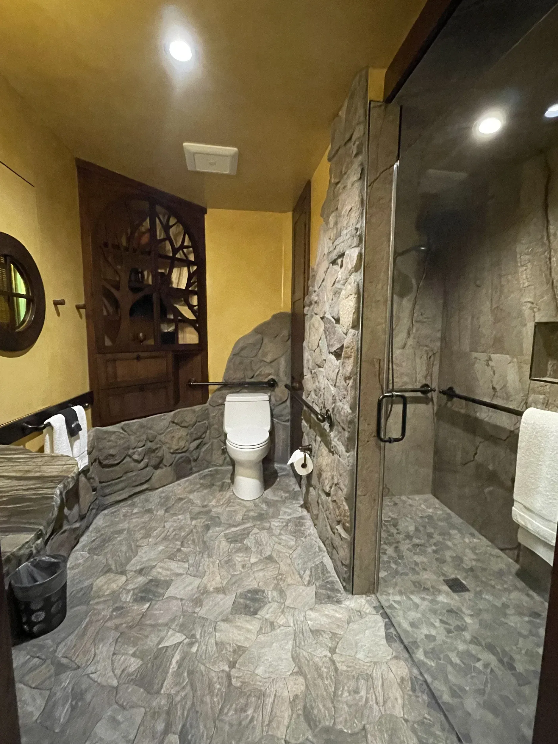 A bathroom with a toilet and a walk in shower