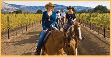 A group of women are riding horses in a vineyard.