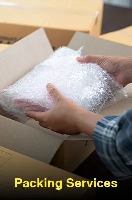 A person is packing a box with bubble wrap.