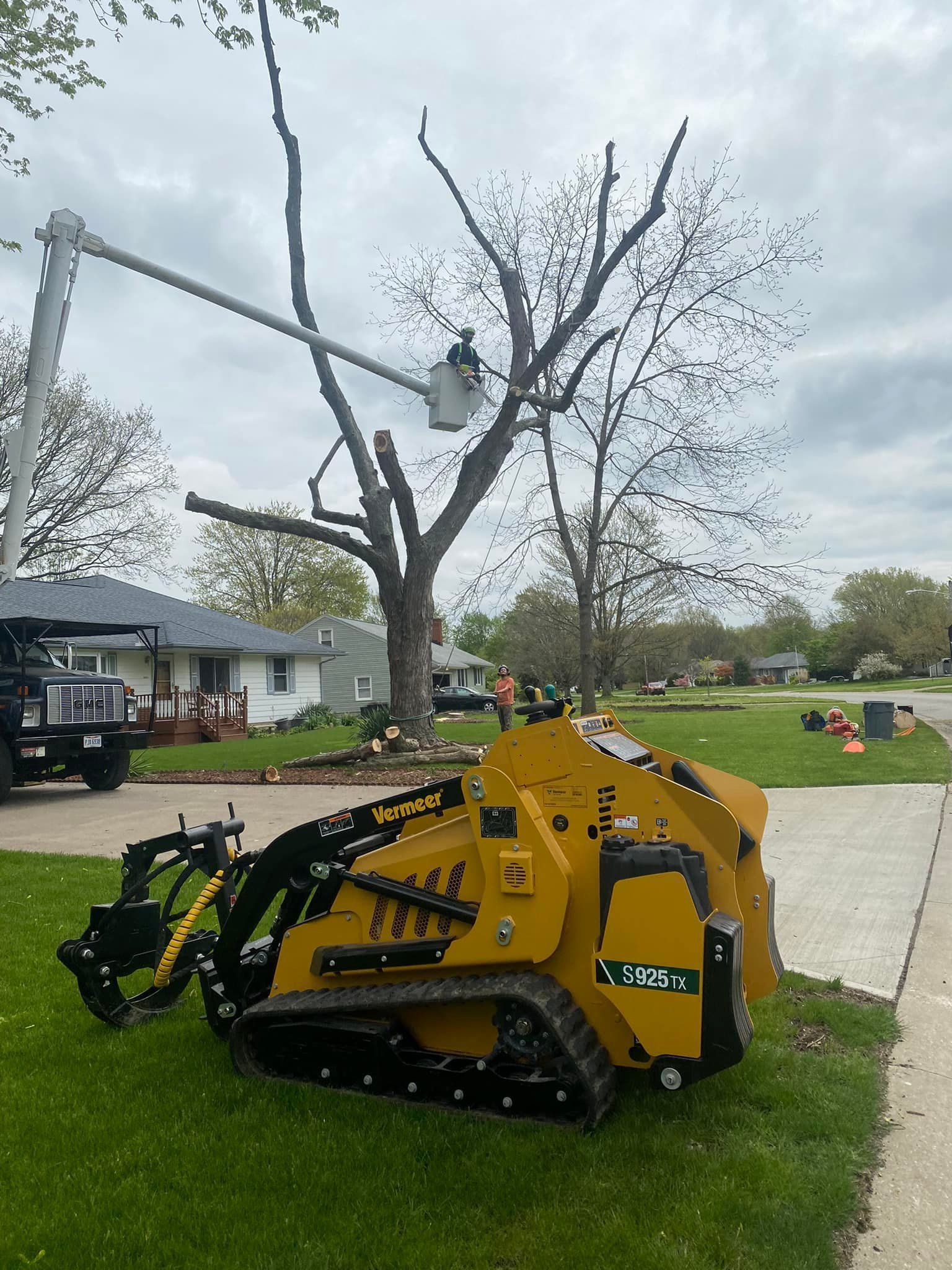A yellow machine is cutting a tree in a yard.