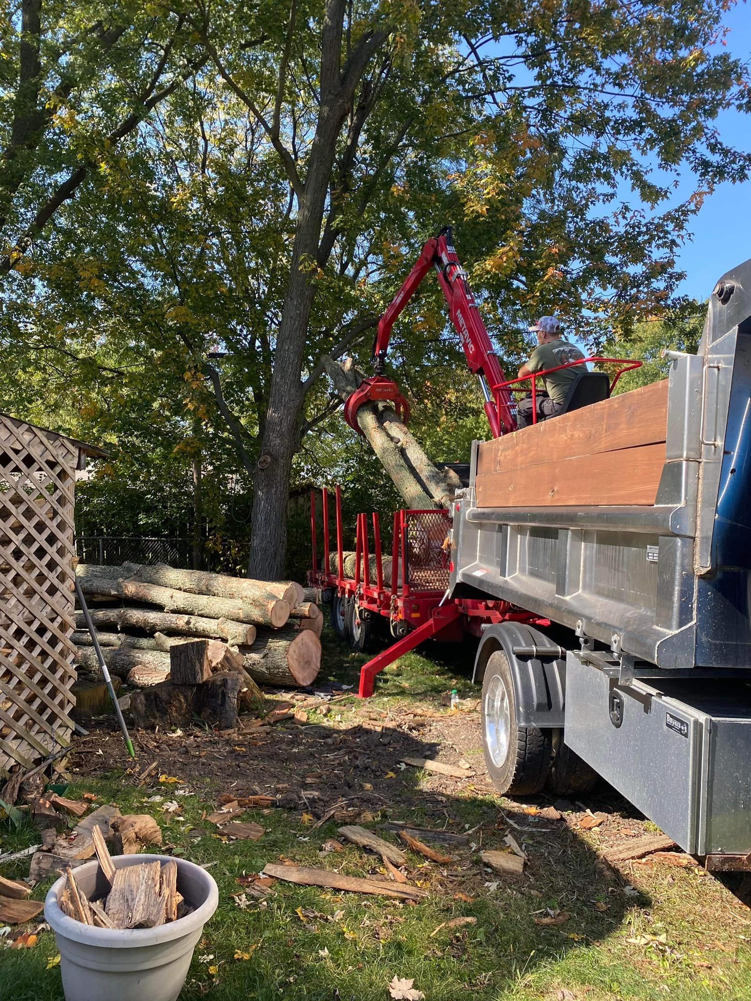 A dump truck is being loaded with logs in a yard.