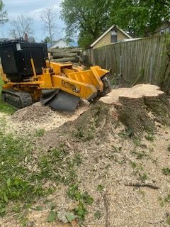 A stump grinder is grinding a tree stump in a backyard.