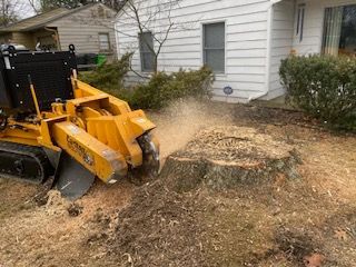 A yellow stump grinder is grinding a tree stump in front of a house.