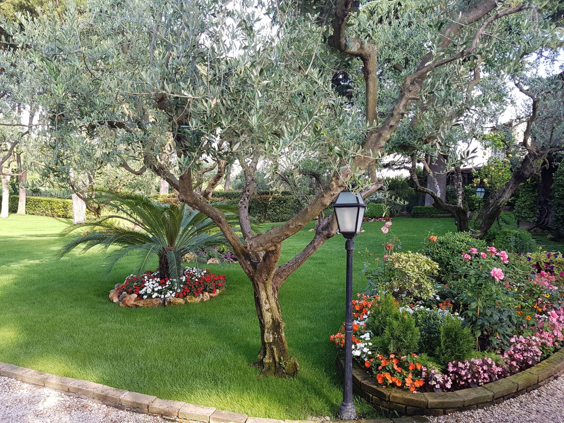 giardino