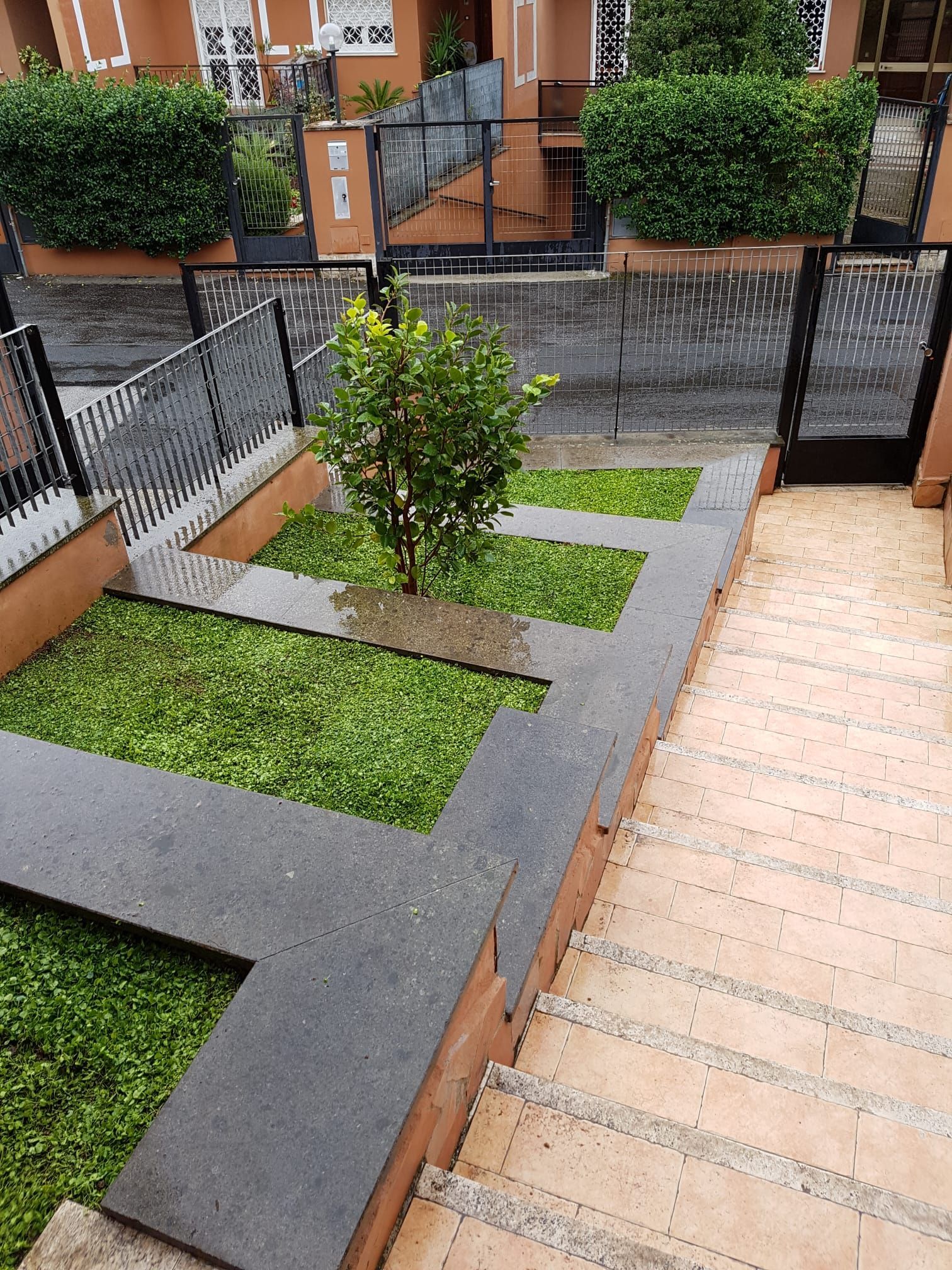 alberi