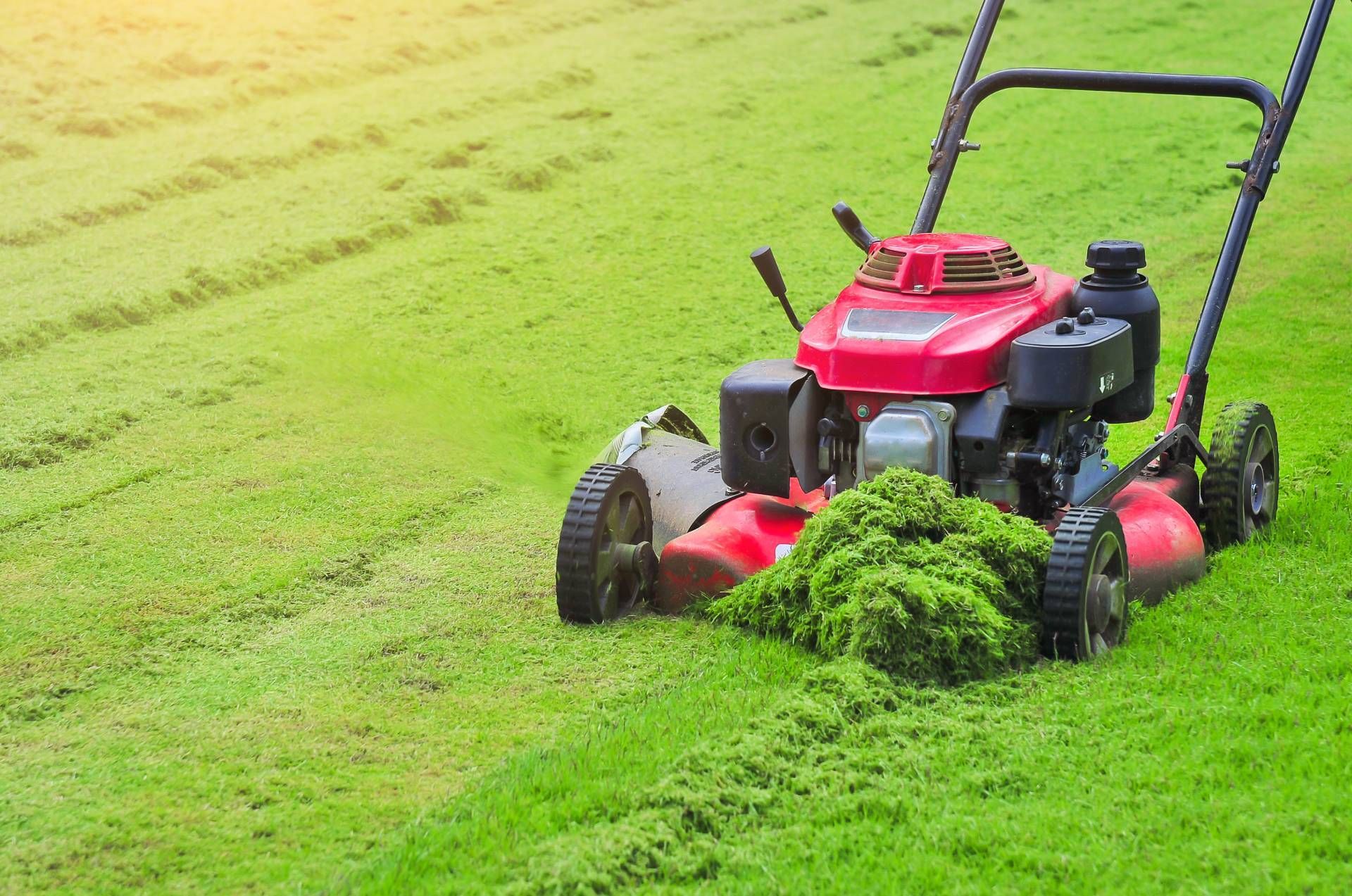 Red lawnmower cutting green grass on a sunny day, leaving cut grass behind.
