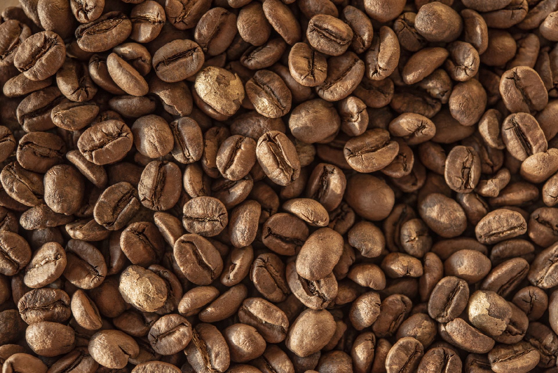 Essenza caffè Pavia