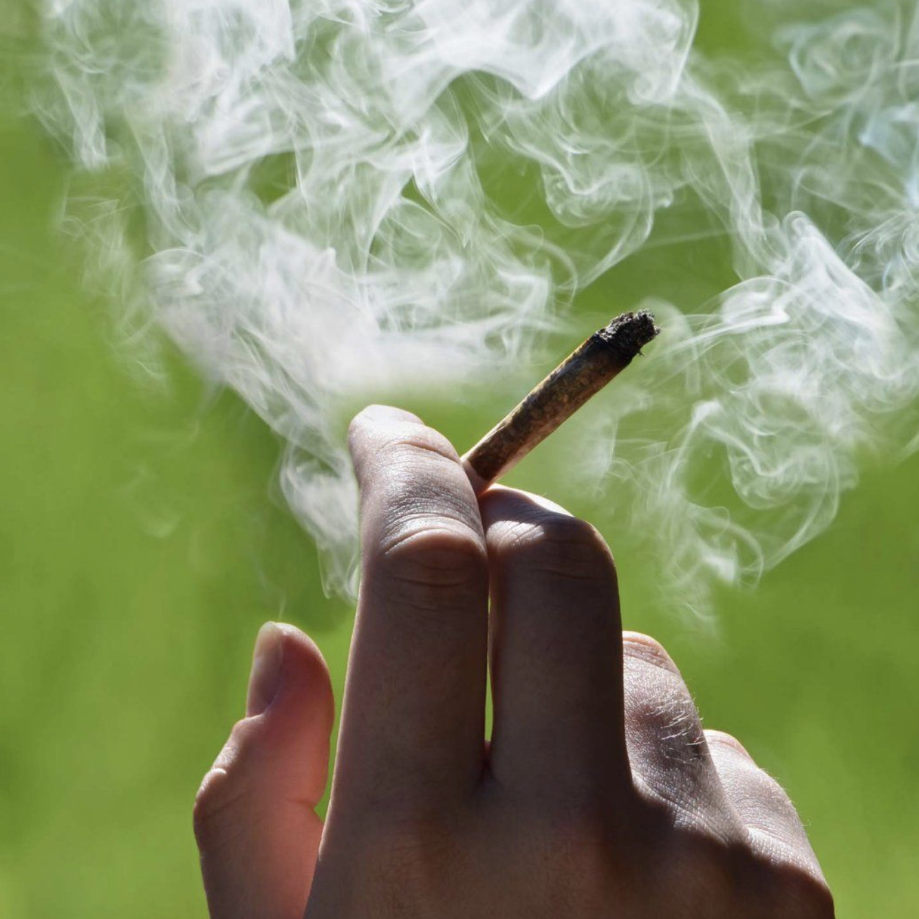 Picture of a hand holding a lit joint filled with cannabis.