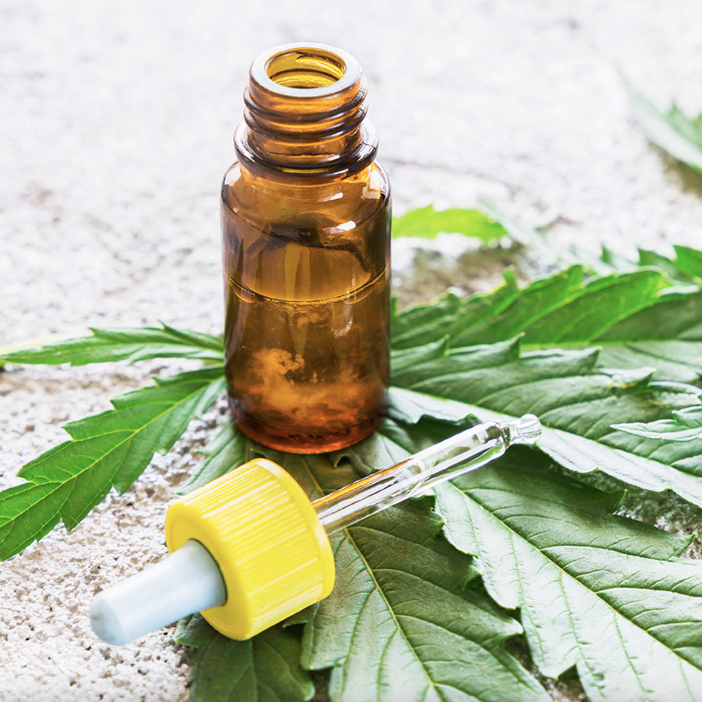 Picture of a tincture on a cannabis leaf with a dropper on the cannabis leaf as well.