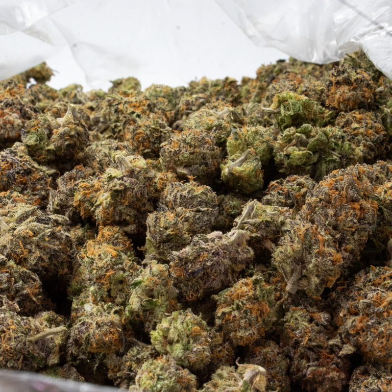 Premium cannabis flower strain is displayed showing red and purple hues