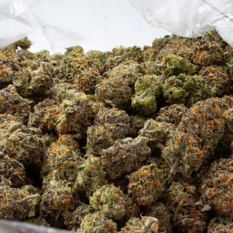 Premium cannabis flower strain is displayed showing red and purple hues