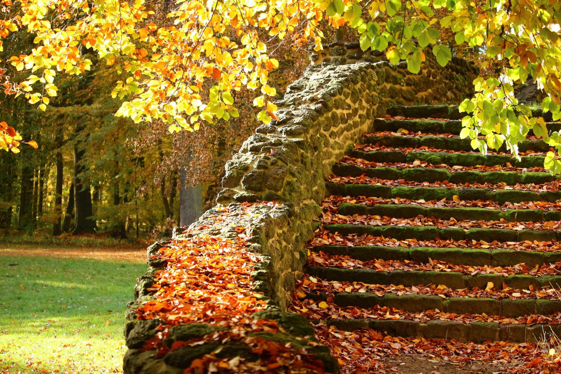 A stone staircase covered in leaves in a park
