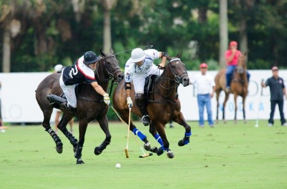 Wellington Polo Players in Wellington, Florida