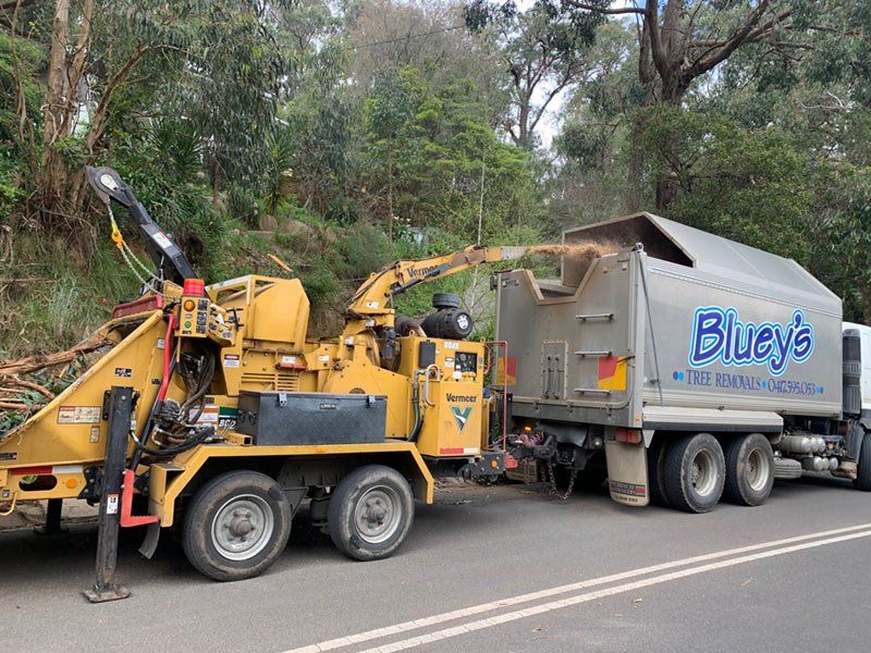 Mulching / Chipping of Branches