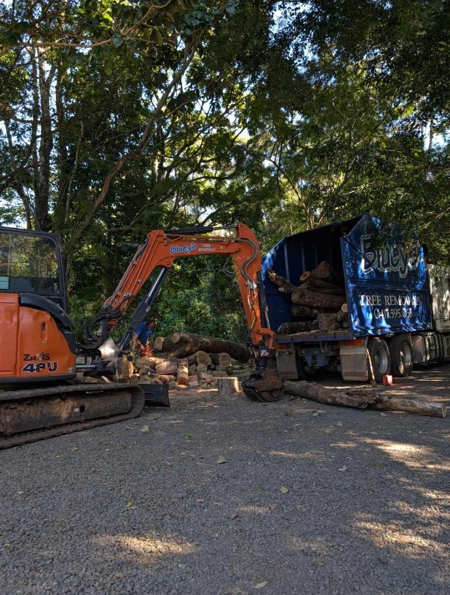 An excavator is loading logs into a dumpster.