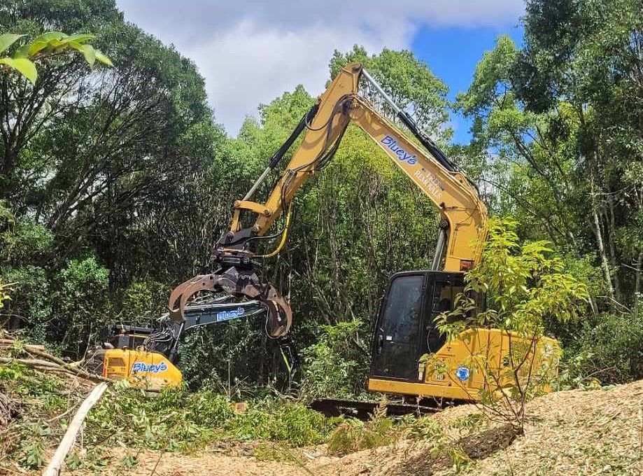 A large yellow excavator is cutting down trees in a forest.