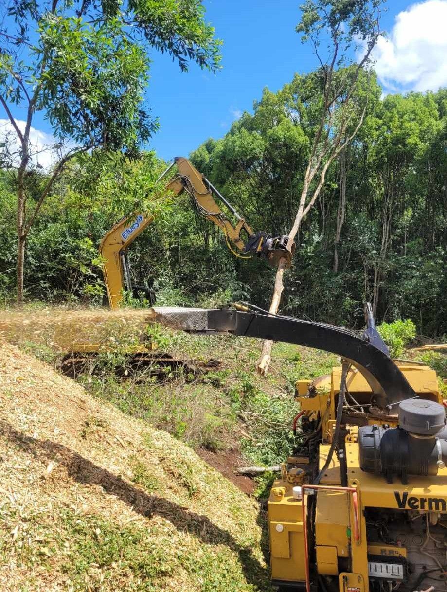 A yellow machine is cutting down trees in a forest.