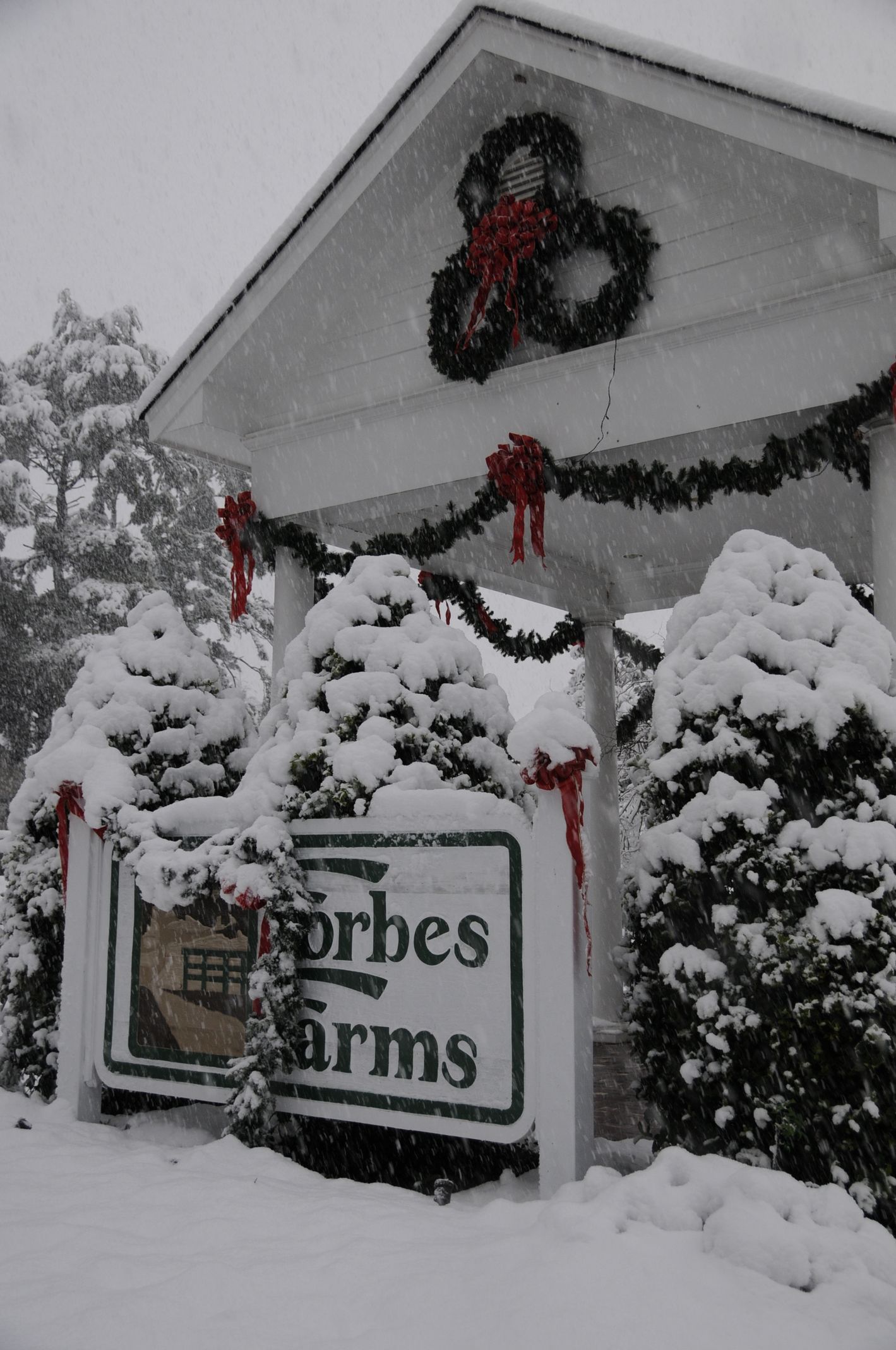 Forbes Farms gated community with land for sale in Hammond, LA | Find your dream home today