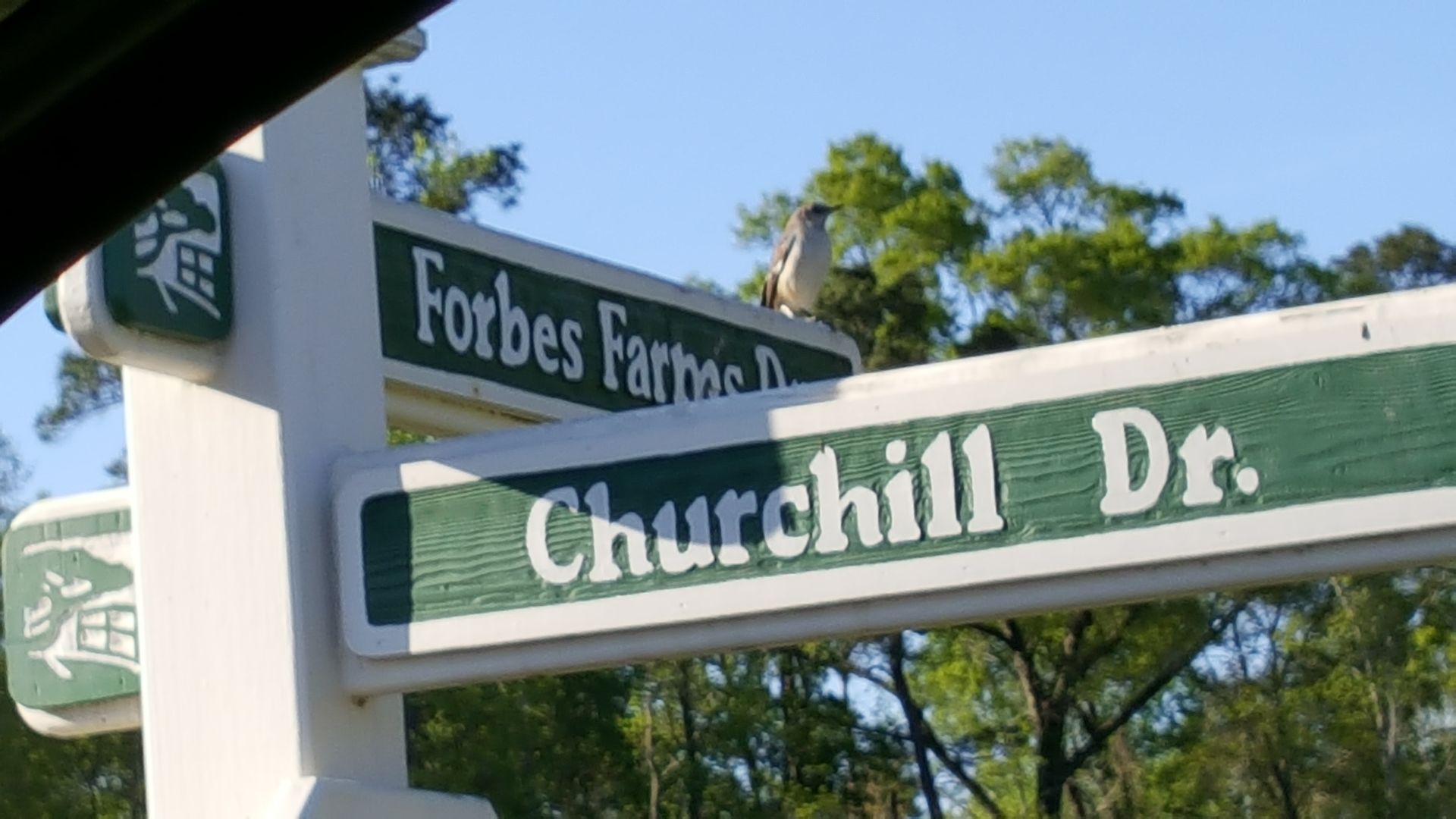 Lots and land for sale in private, gated neighborhood in Hammond, LA | Forbes Farms