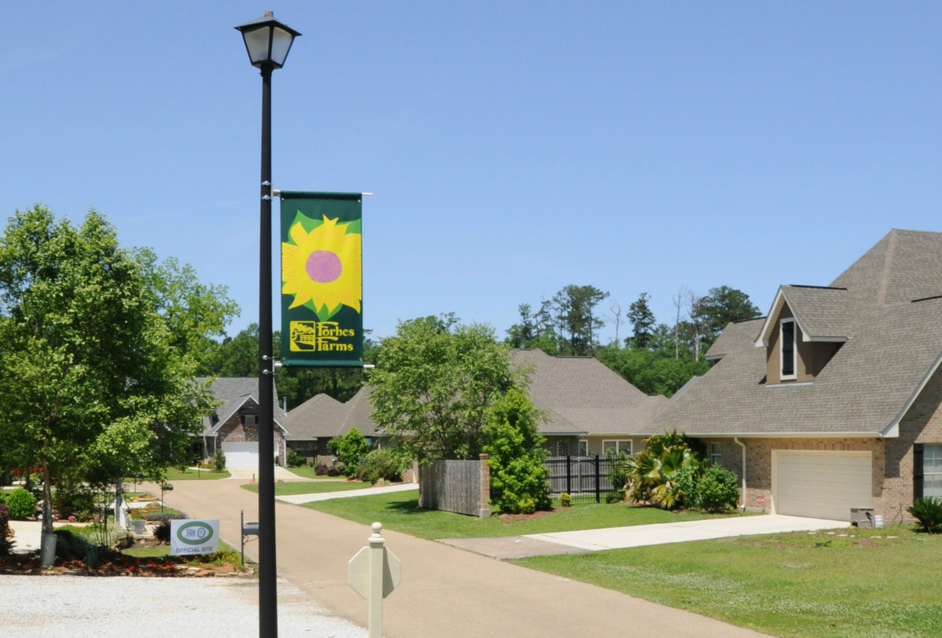 Street view of Forbes Farms neighborhood in Hammond, LA