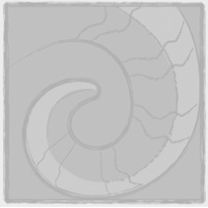 A gray, stylized spiral resembling a sheep horn, centered within a square frame.